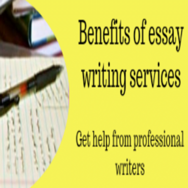 essay writing service nz