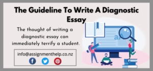 diagnostic essay examples for students