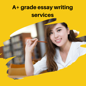 essay writing service nz